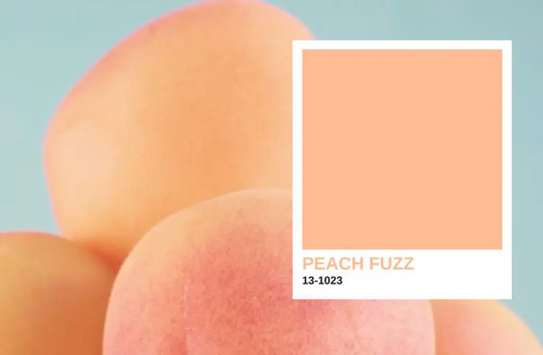 Como usar a cor do ano 2024 Peach Fuzz