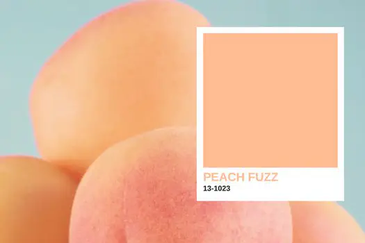 Como usar a cor do ano 2024 Peach Fuzz